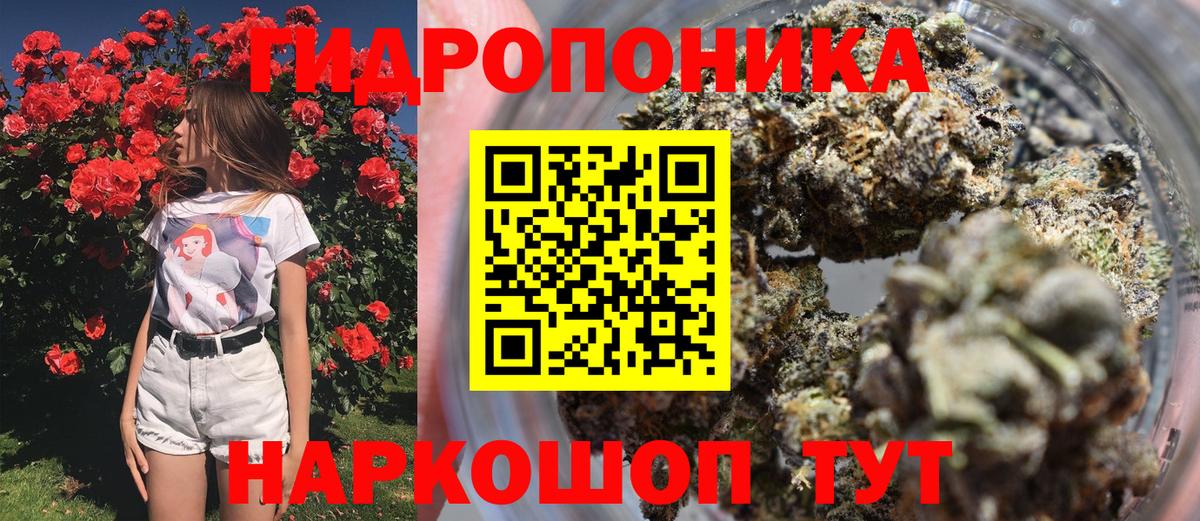 Бошки Шишки планчик Кольчугино